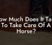 How Much Does It Take To Take Care Of A Horse?