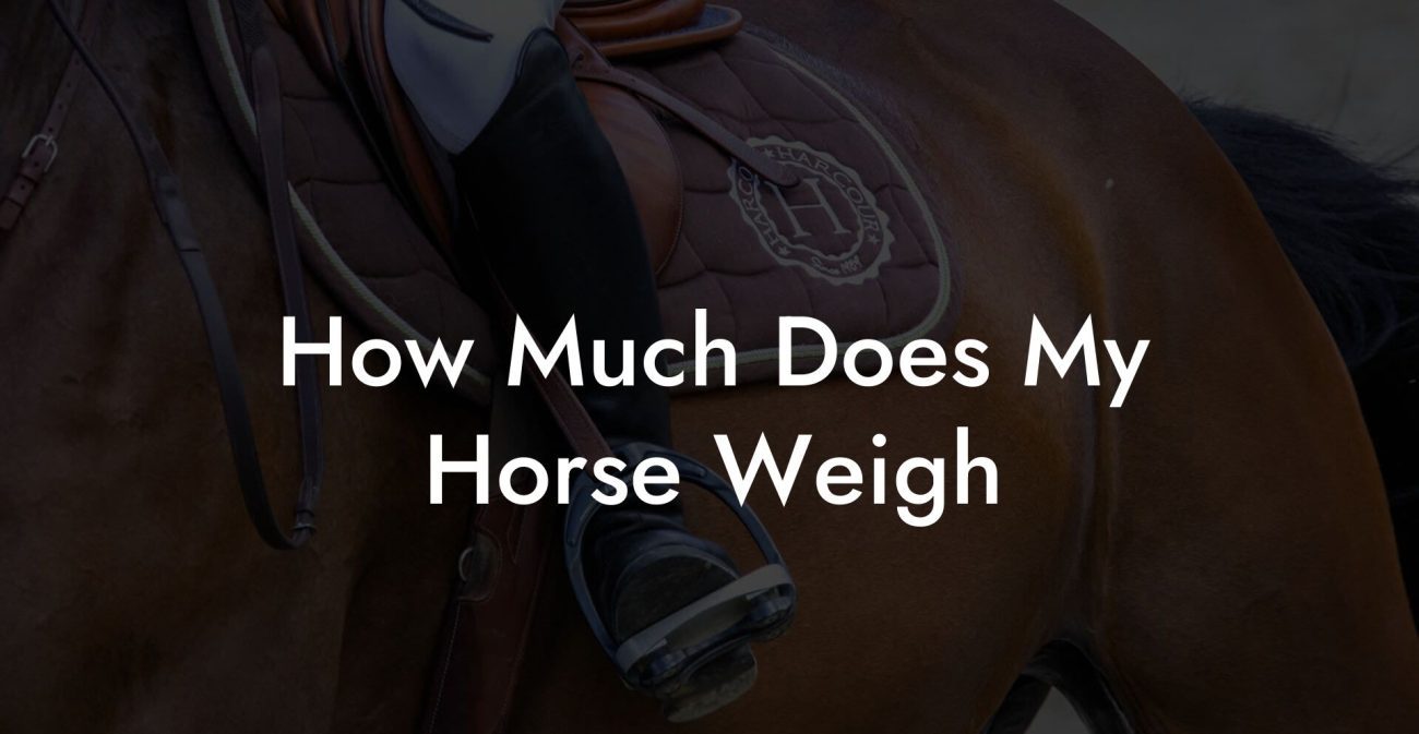 How Much Does My Horse Weigh