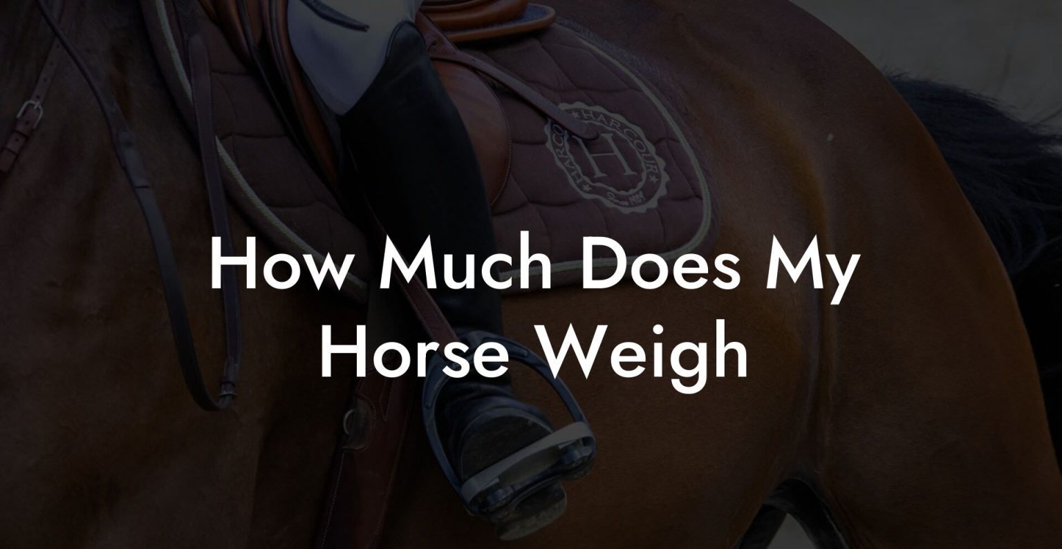 How Much Does My Horse Weigh How To Own a Horse