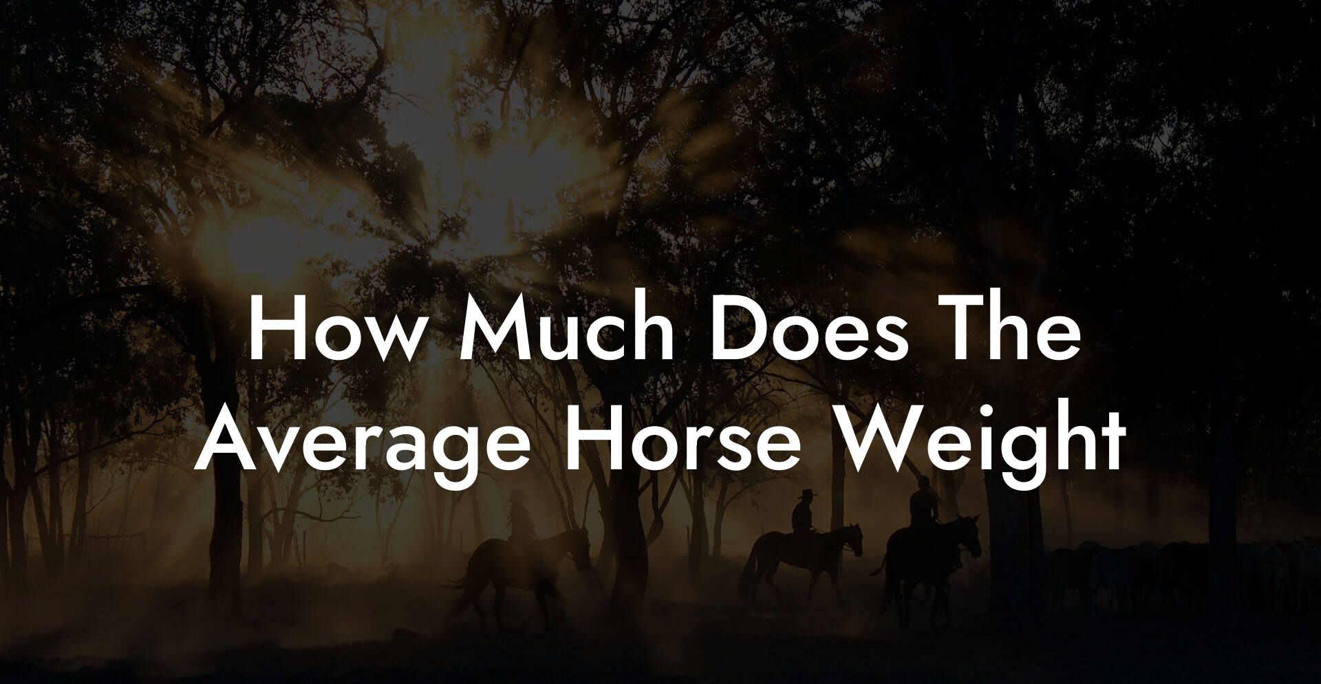 How Much Does The Average Horse Weight