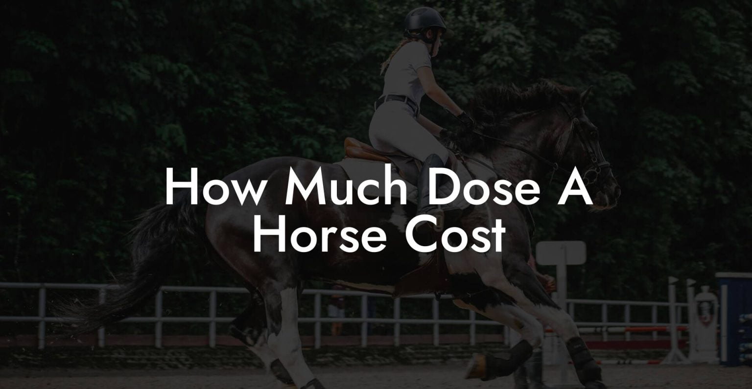 How Much Dose A Horse Cost How To Own a Horse