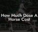 How Much Dose A Horse Cost