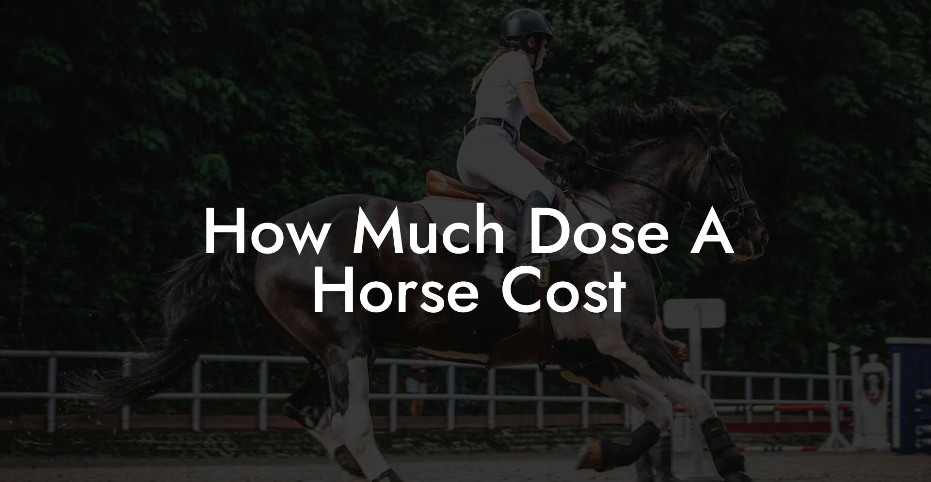 How Much Dose A Horse Cost