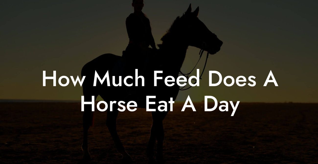 How Much Feed Does A Horse Eat A Day