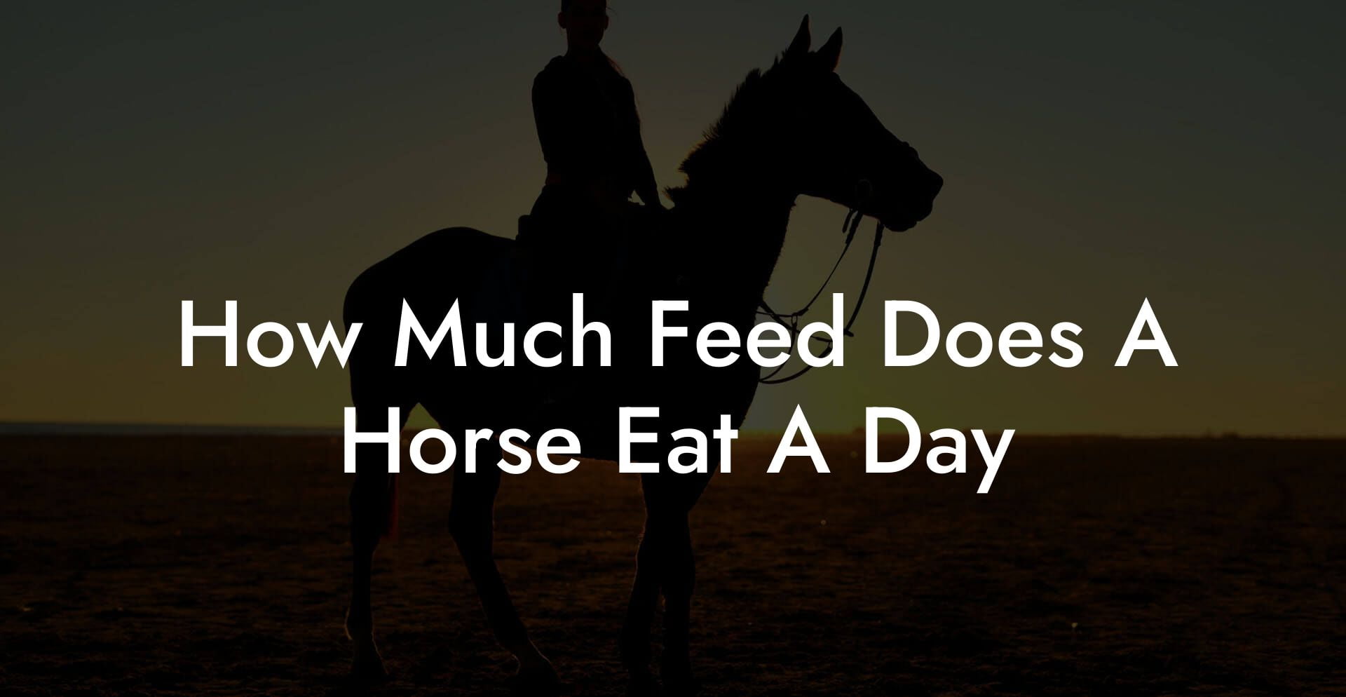 How Much Feed Does A Horse Eat A Day How To Own a Horse