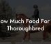 How Much Food For A Thoroughbred