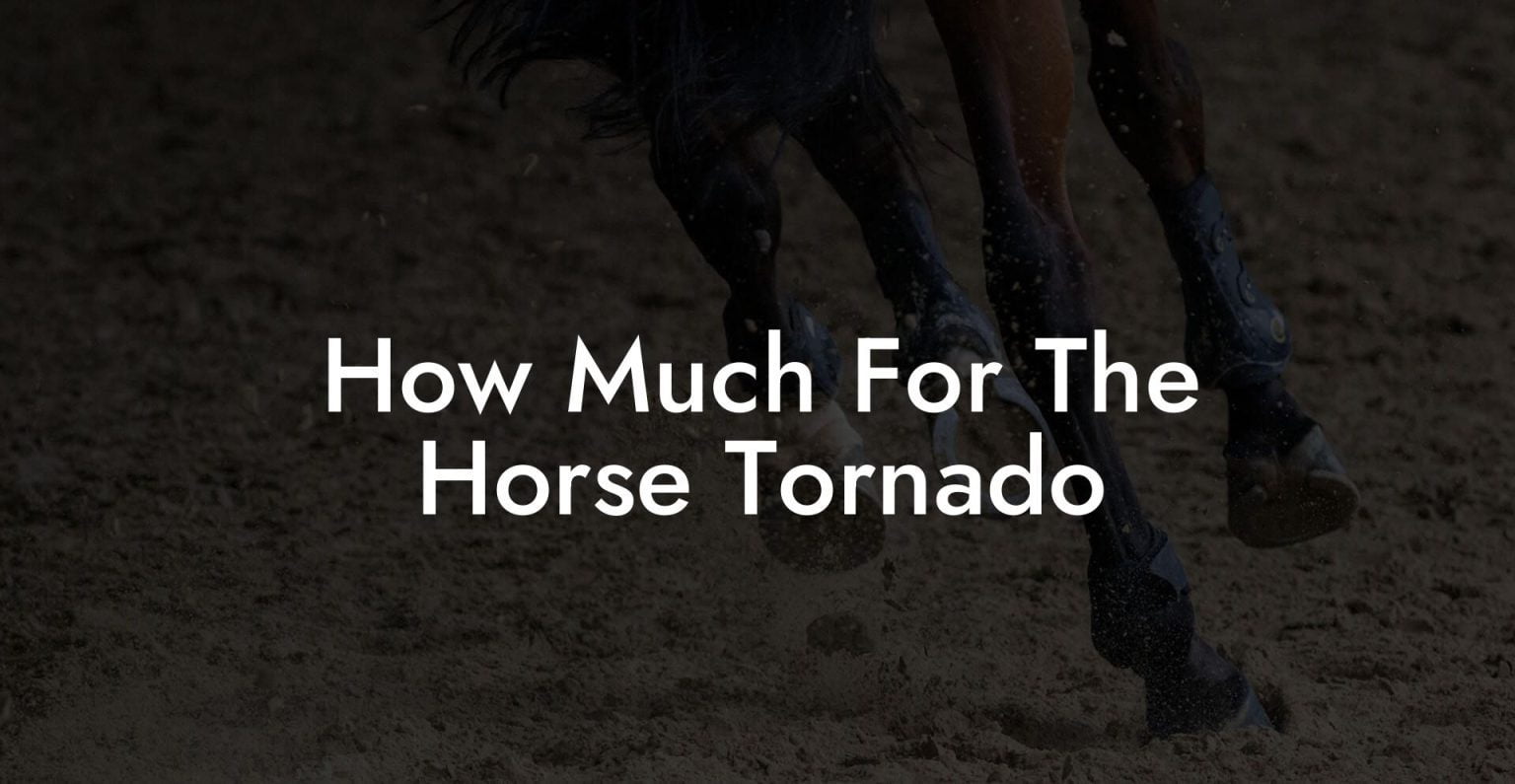 How Much For The Horse Tornado How To Own a Horse