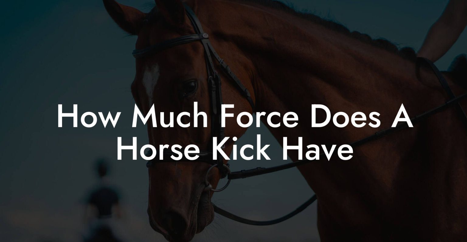 How Much Force Does A Horse Kick Have How To Own a Horse