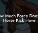 How Much Force Does A Horse Kick Have