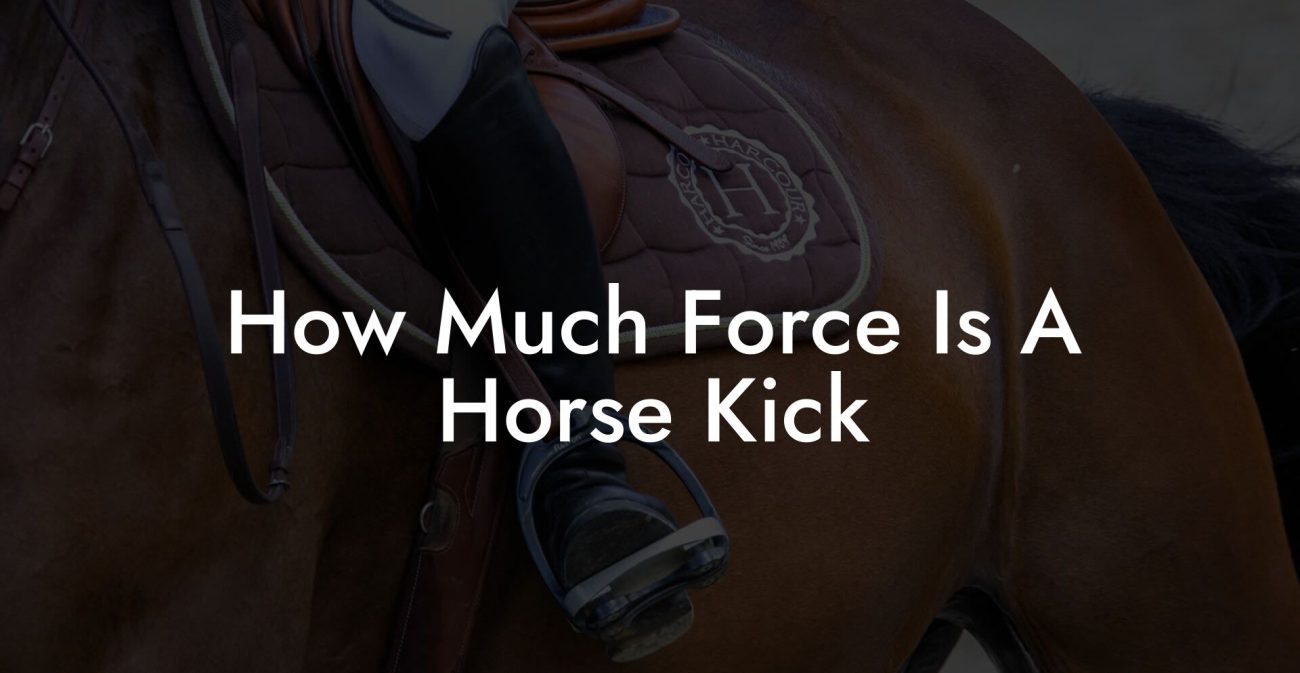 How Much Force Is A Horse Kick