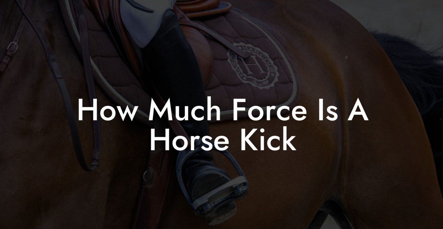 How Much Force Is A Horse Kick How To Own a Horse