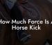 How Much Force Is A Horse Kick