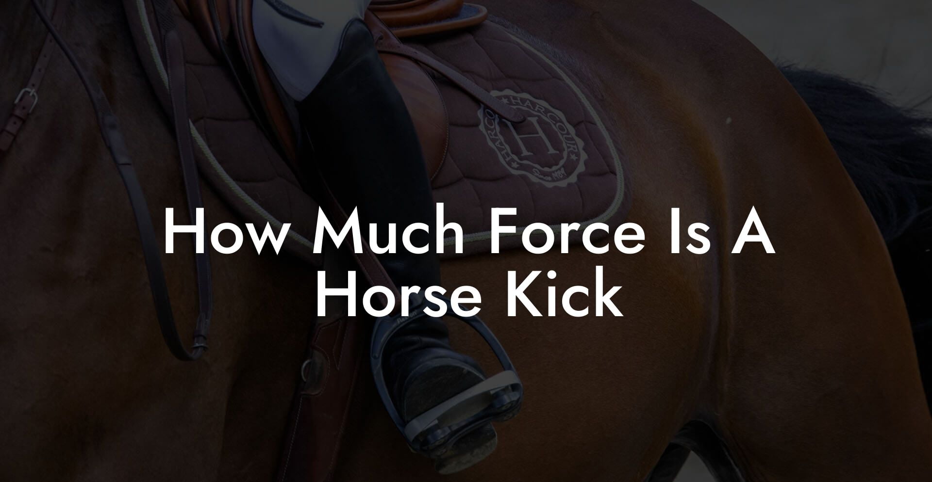 How Much Force Is A Horse Kick
