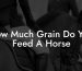How Much Grain Do You Feed A Horse