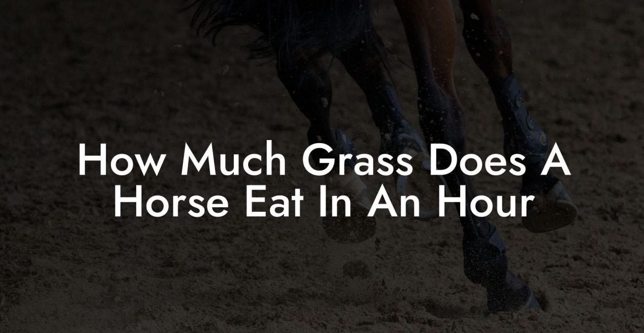 How Much Grass Does A Horse Eat In An Hour
