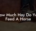How Much Hay Do You Feed A Horse