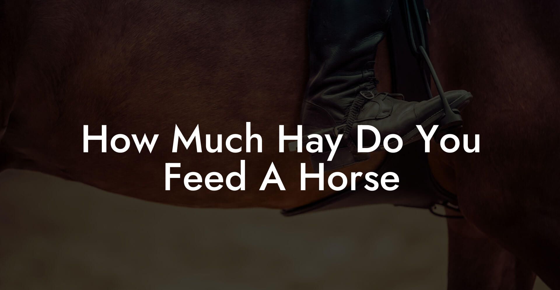 How Much Hay Do You Feed A Horse