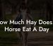 How Much Hay Does A Horse Eat A Day