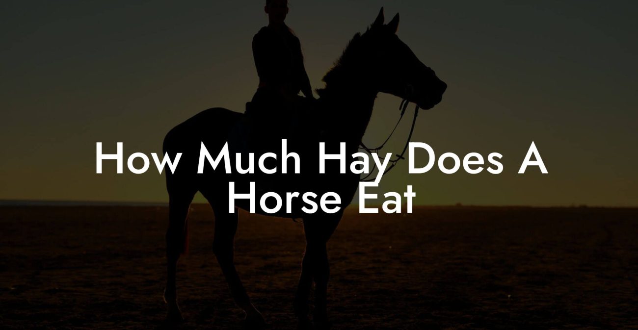 How Much Hay Does A Horse Eat