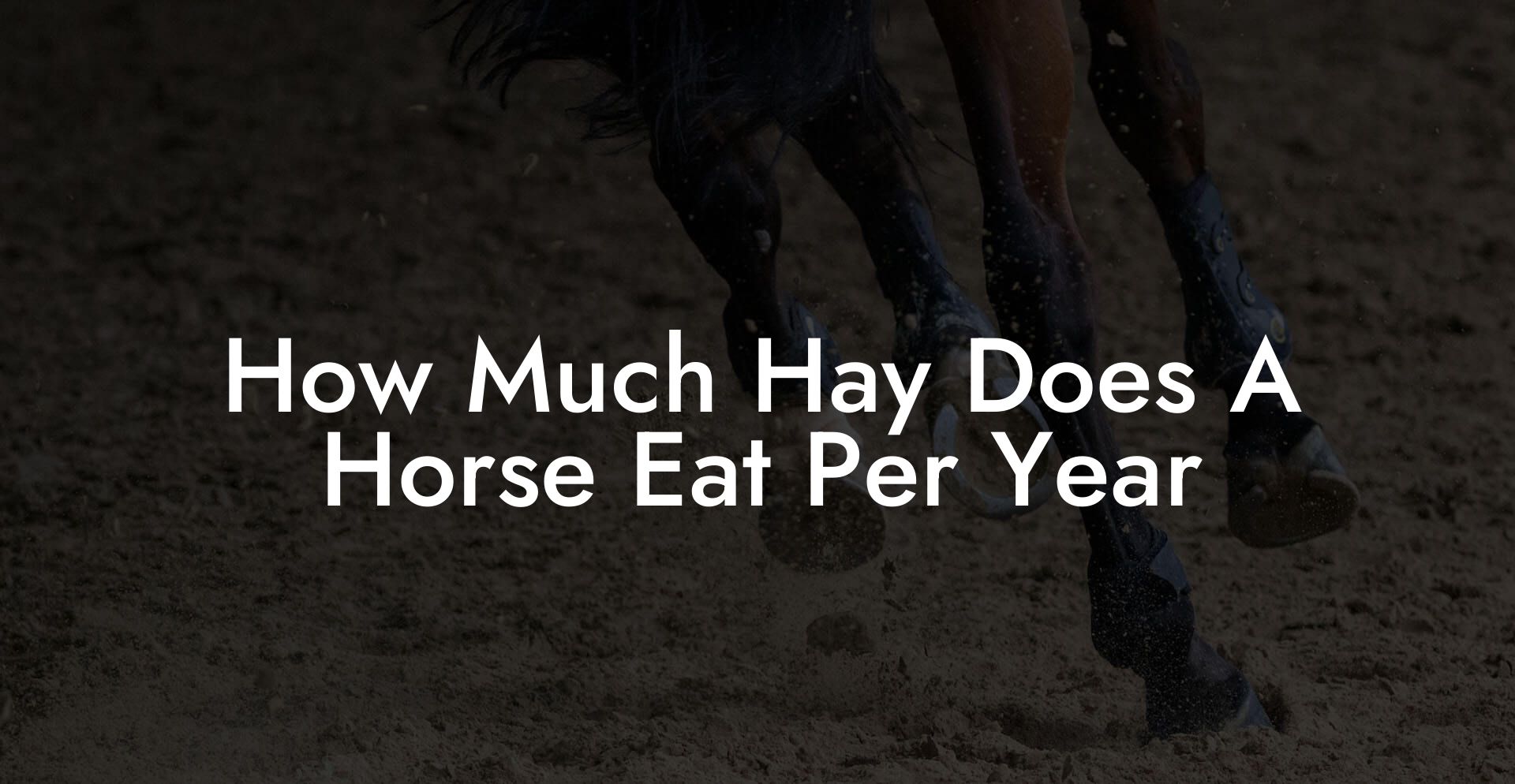 How Much Hay Does A Horse Eat Per Year