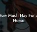 How Much Hay For A Horse