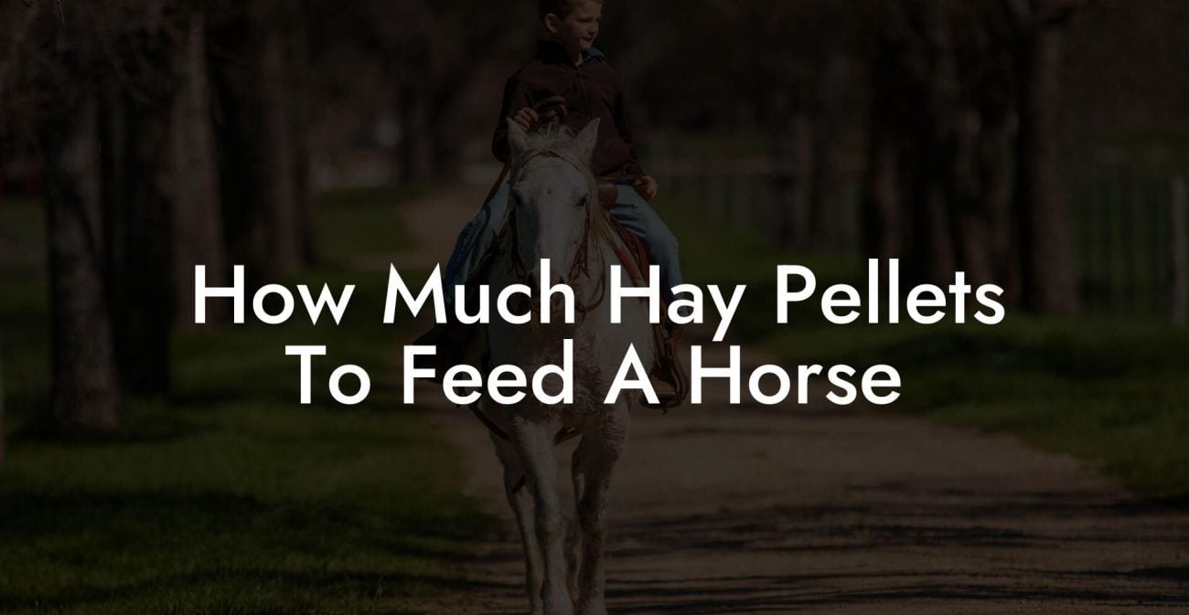 How Much Hay Pellets To Feed A Horse