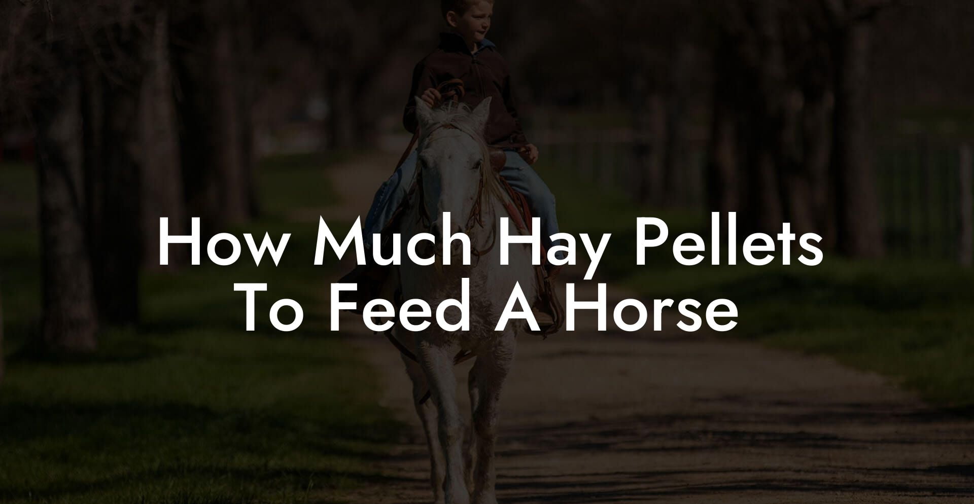How Much Hay Pellets To Feed A Horse