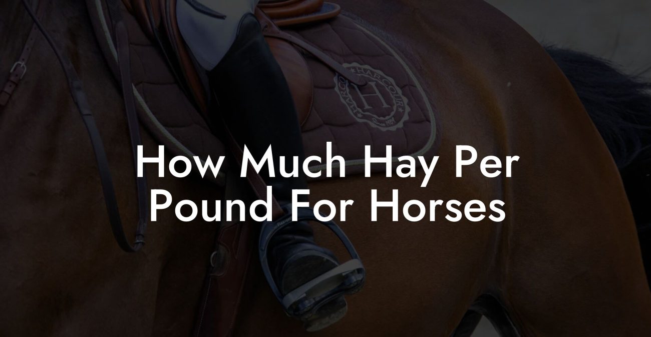 How Much Hay Per Pound For Horses