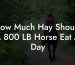 How Much Hay Should A 800 LB Horse Eat A Day