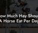 How Much Hay Should A Horse Eat Per Day
