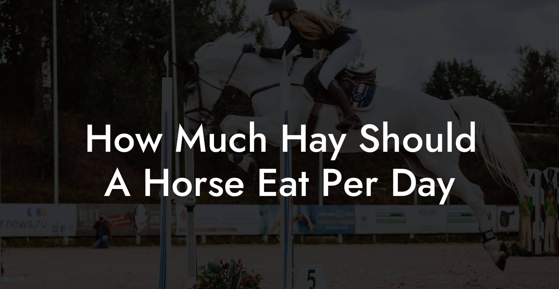 How Much Hay Should A Horse Eat Per Day