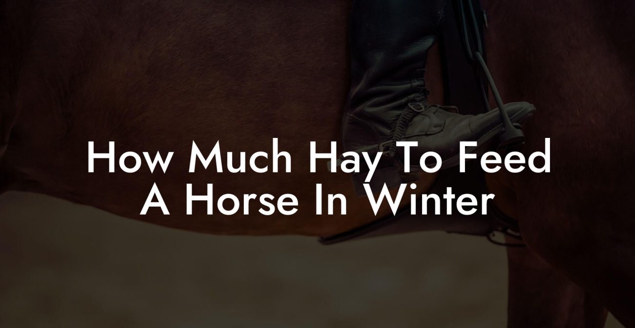 How Much Hay To Feed A Horse In Winter