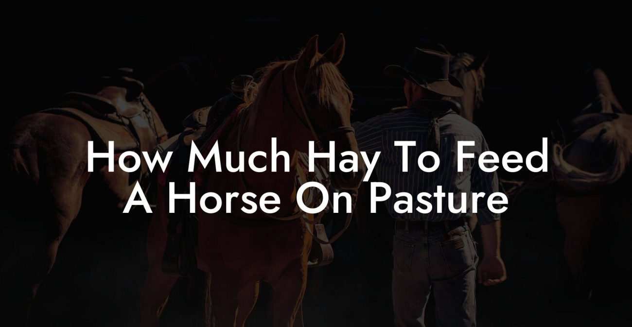 How Much Hay To Feed A Horse On Pasture