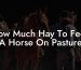 How Much Hay To Feed A Horse On Pasture