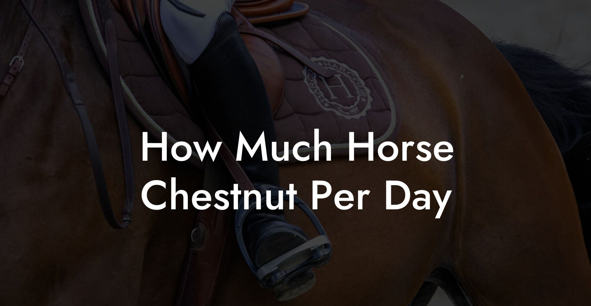 How Much Horse Chestnut Per Day