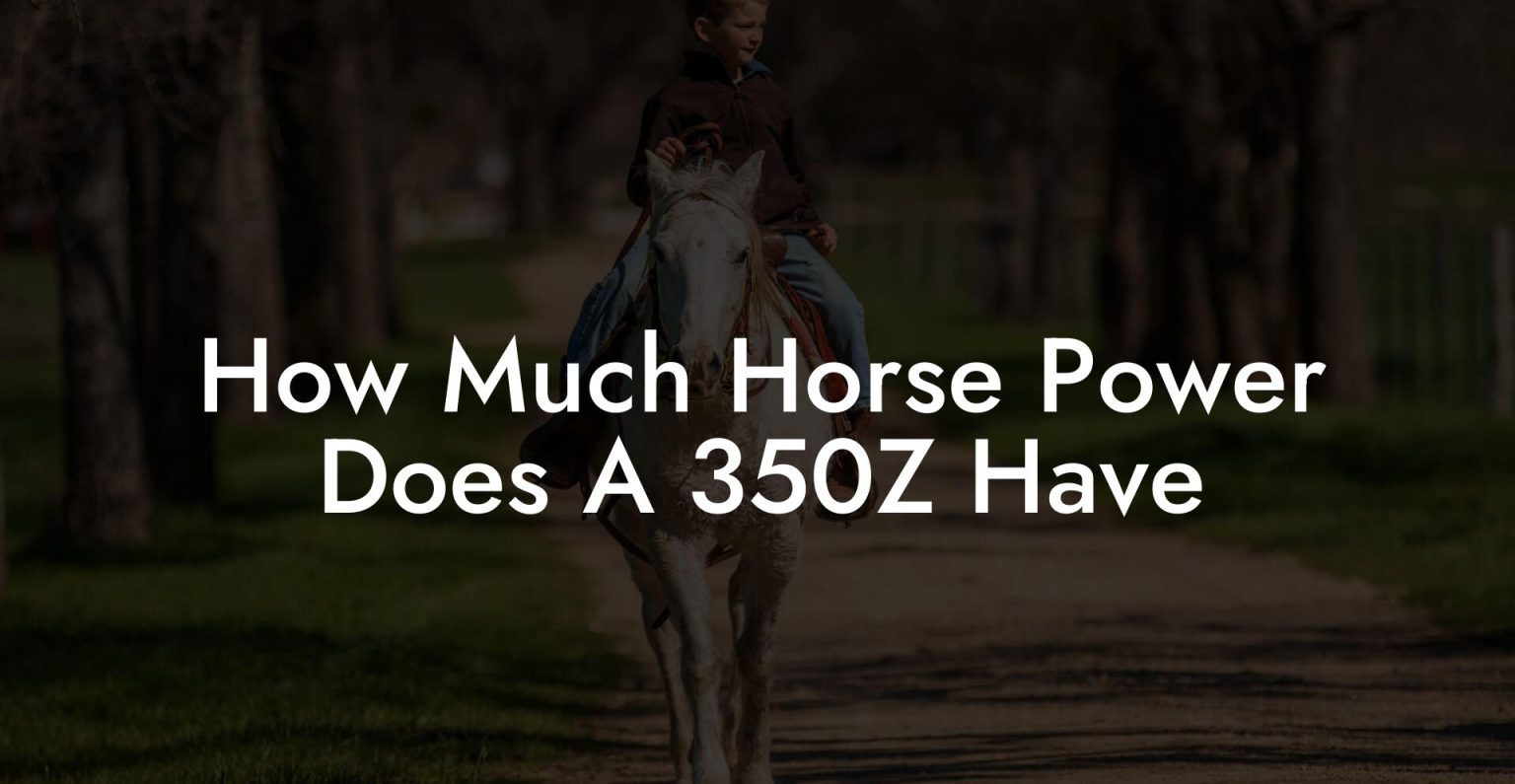 How Much Horse Power Does A 350Z Have How To Own a Horse
