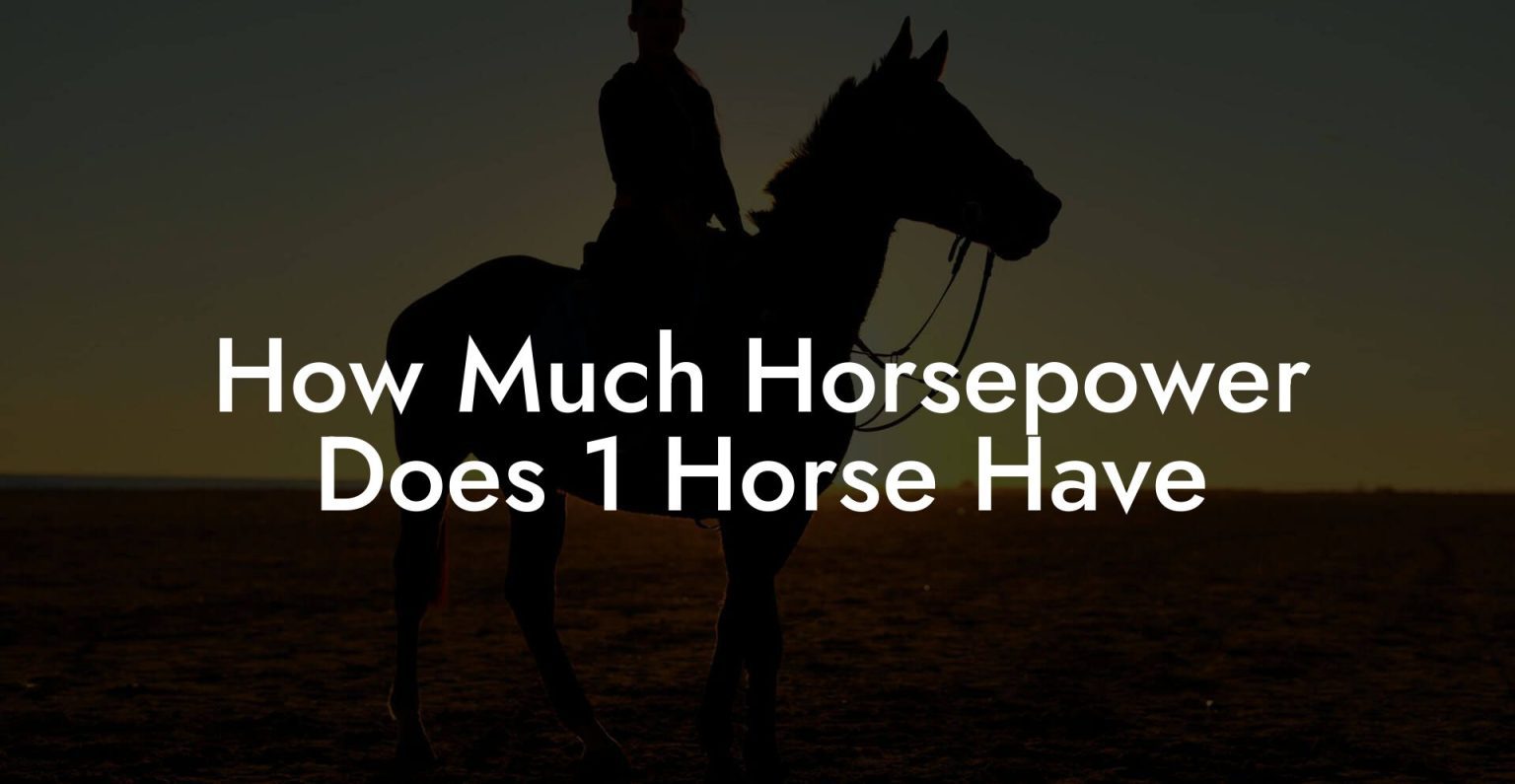 How Much Horsepower Does 1 Horse Have How To Own a Horse