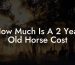 How Much Is A 2 Year Old Horse Cost