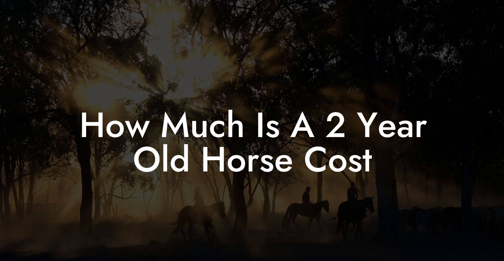 How Much Is A 2 Year Old Horse Cost