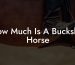 How Much Is A Buckskin Horse