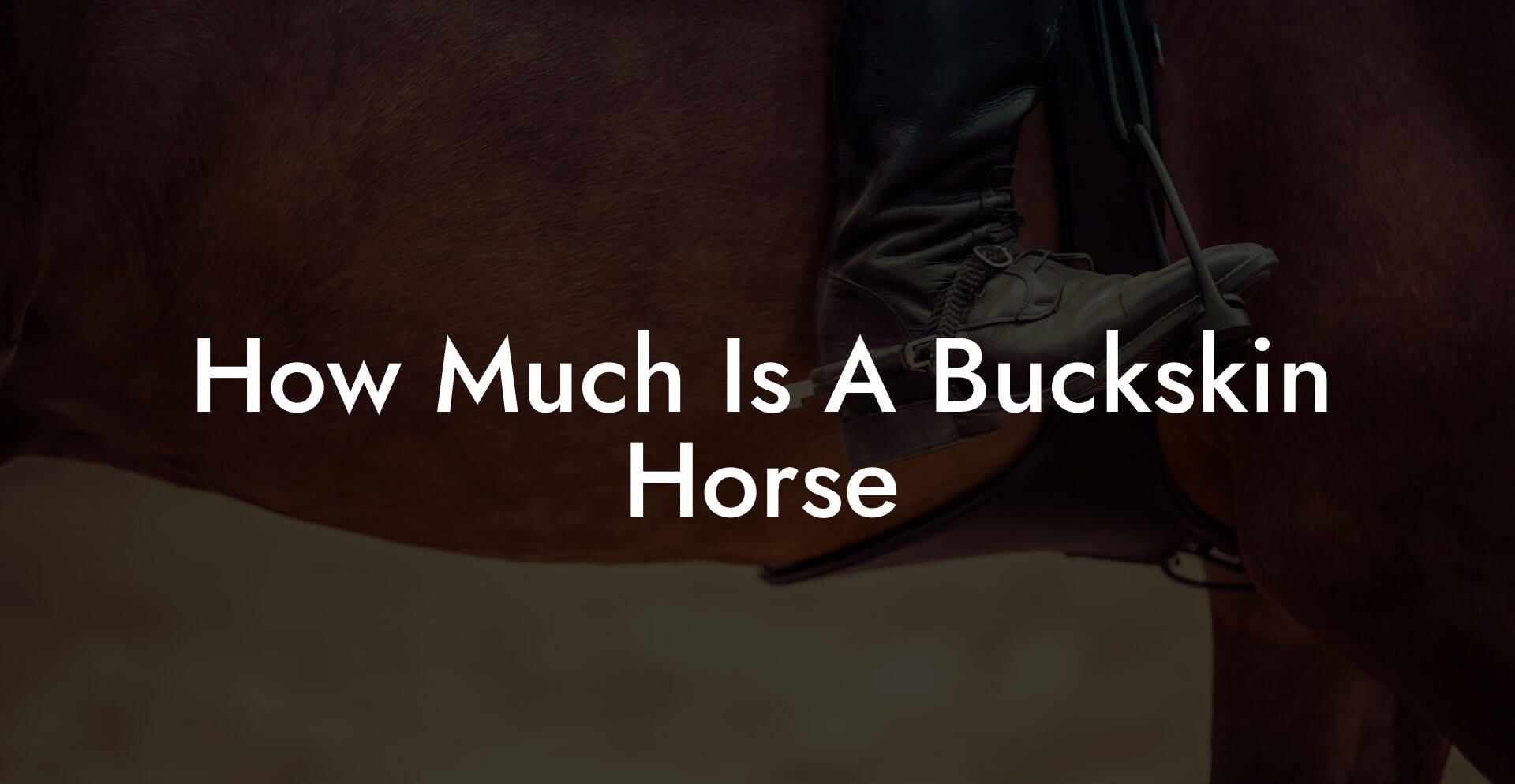 How Much Is A Buckskin Horse