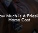 How Much Is A Friesian Horse Cost