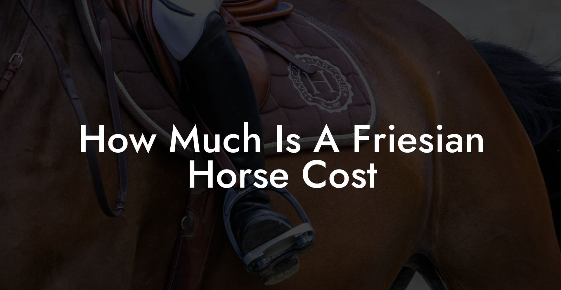 How Much Is A Friesian Horse Cost