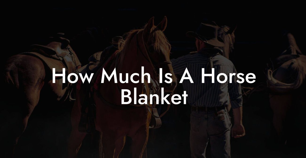 How Much Is A Horse Blanket