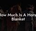 How Much Is A Horse Blanket
