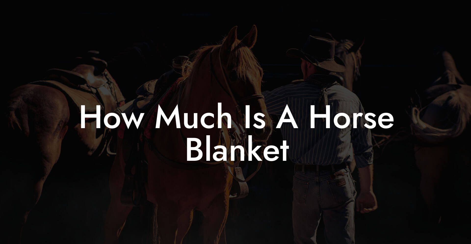 How Much Is A Horse Blanket