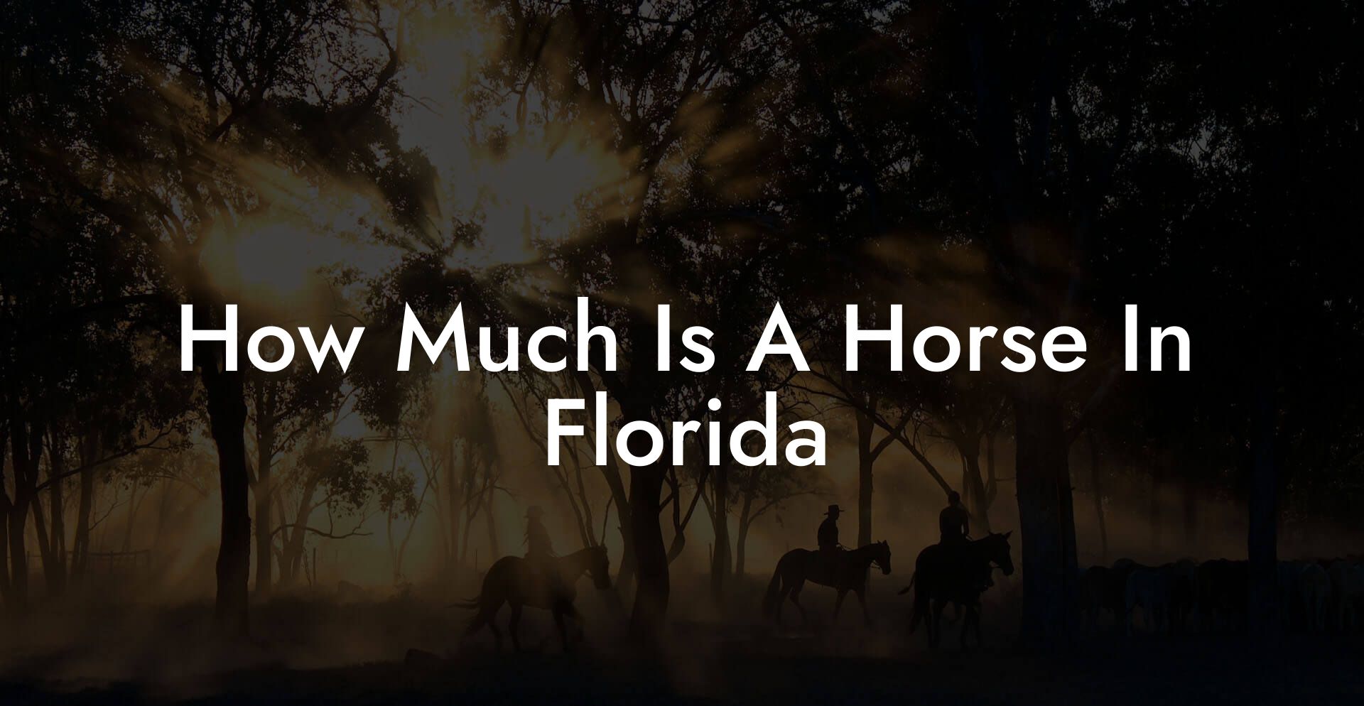 How Much Is A Horse In Florida