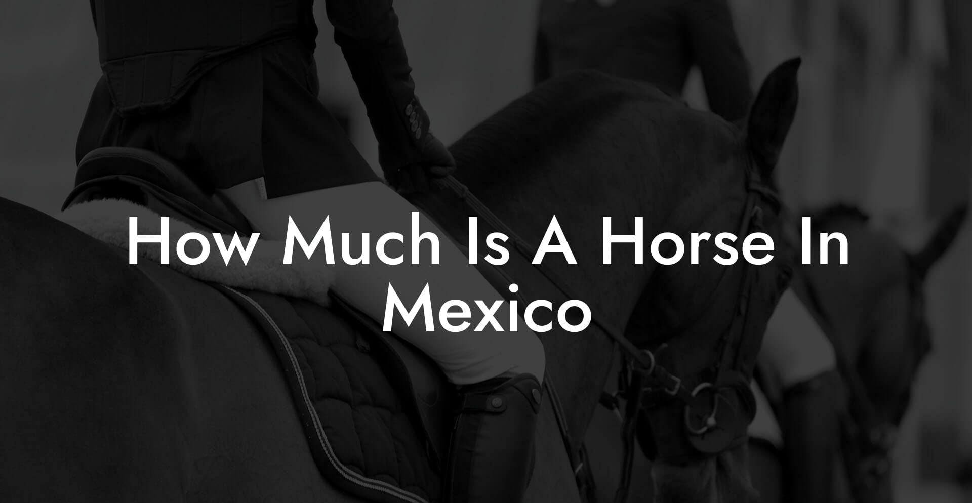 How Much Is A Horse In Mexico