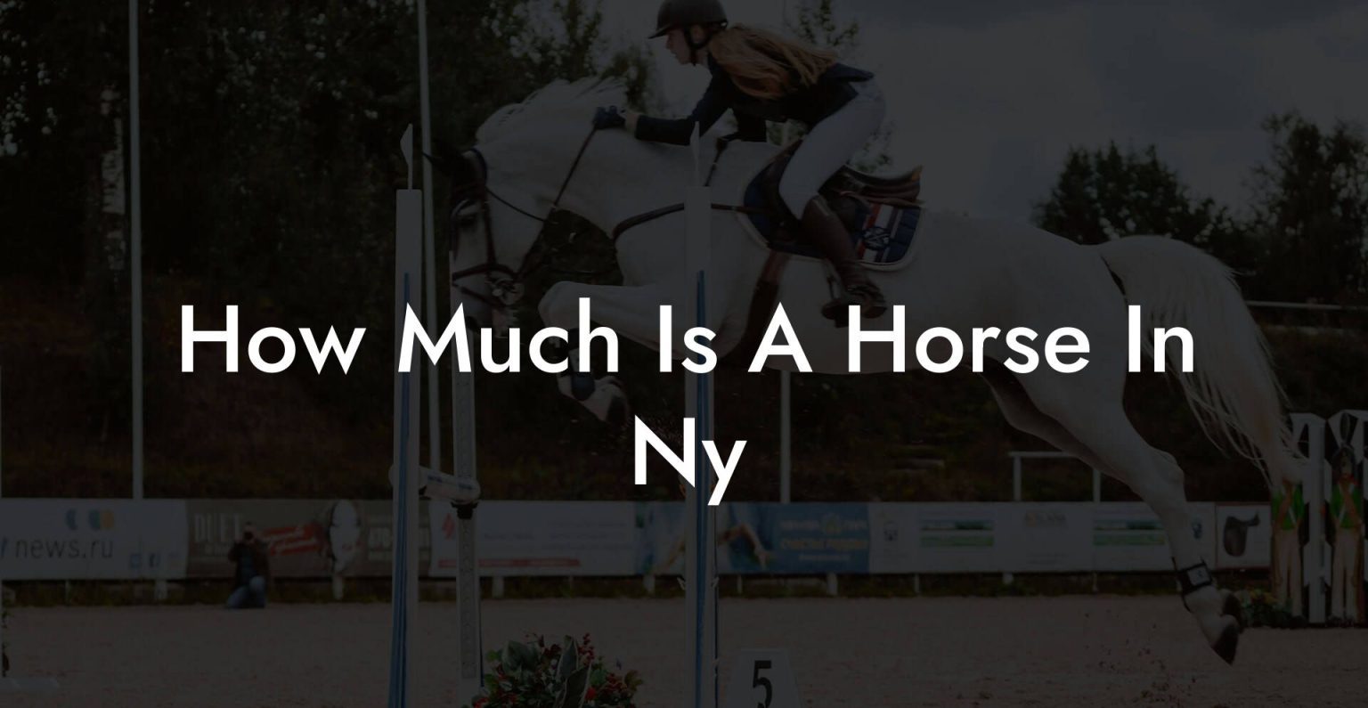 How Much Is A Horse In Ny How To Own a Horse