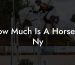 How Much Is A Horse In Ny